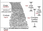 Bạn đã biết phân loại và tên gọi các lớp da thuộc để sản xuất sản phẩm dây nịt da cao cấp?